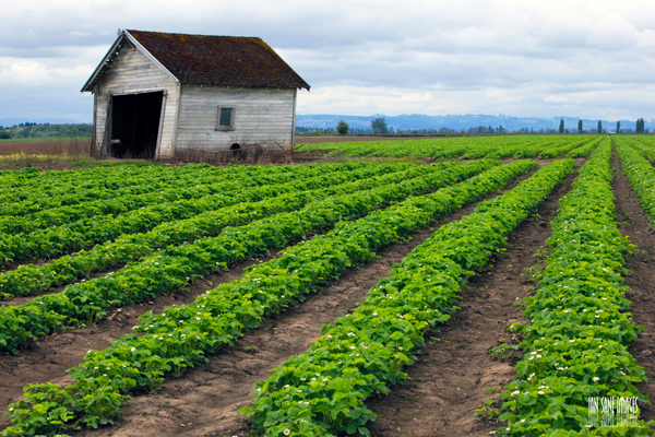 SCENERY mountain`SN 152